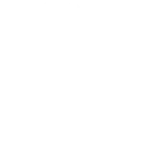Installation & Maintenance