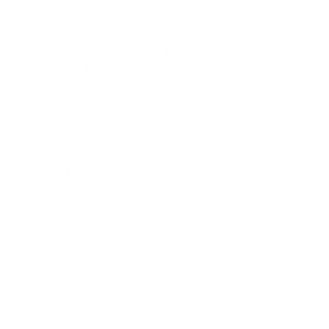 Expert Consultation
